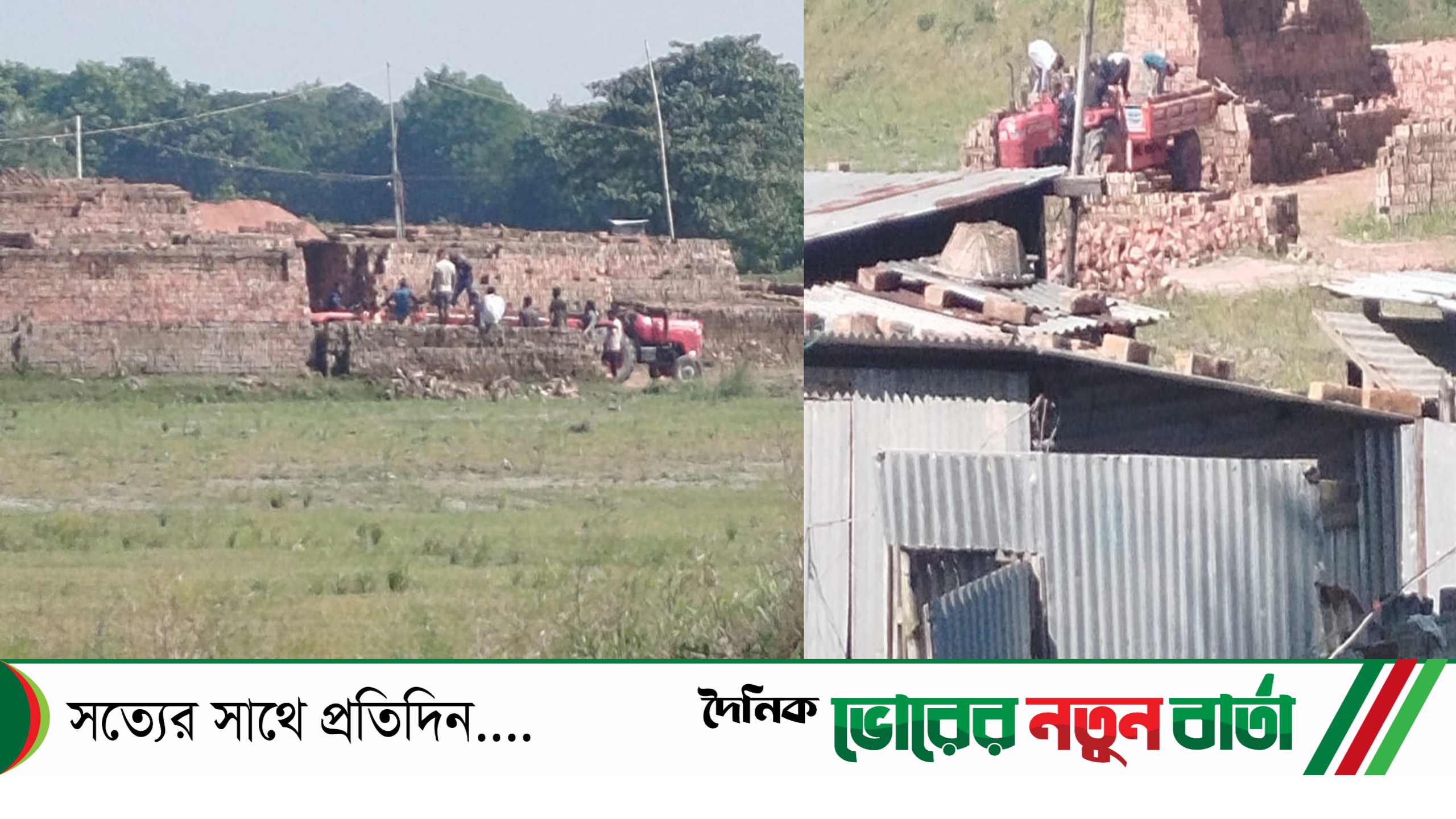 তিতাসে দিনে দুপুরে ইটভাটা থেকে ইট লুটপাটের অভিযোগ :অভিভোগকারীর অস্বীকার